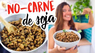 Carne de SOJA  Una alternativa VEGANA y SABROSA [upl. by Yrelle]