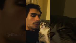 Oh man 🤣 shortvideo funny mycatchannel petschannel yourcat cat funnycats yourpet [upl. by Esoj]