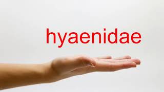 How to Pronounce hyaenidae  American English [upl. by Adaminah]