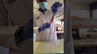 SEE HOW A UKZN PHARMACY STUDENT MANUFACTURE THE AQUEOUS CREAM AT THE LAB [upl. by Darcy]