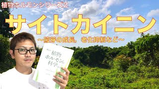 【植物ホルモン2】サイトカイニンの生理作用・役割！私たちの農園芸にどう関わるのか！？ [upl. by Thayne]