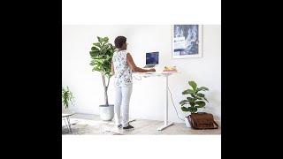 Ergo Office One Standing Desk Frame [upl. by Tnarb697]