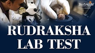 Rudraksha Lab Test  Rudralife  Rudraksha Power For You [upl. by Claudianus]