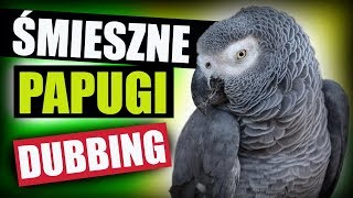 ŚMIESZNE PAPUGI 😂 DUBBING MATT OLECH [upl. by Veleda]