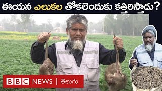 Rat Catcher ఈయన ఎలుకల్ని పట్టి చంపి వాటి తోకల్ని ఎందుకు సేకరిస్తుంటారంటే  BBC Telugu [upl. by Freeman]