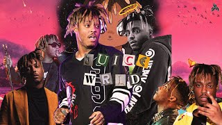 Lyrics Meaning  Eng VietSub Feline  Juice WRLD Polo G amp Trippie Redd [upl. by Erleena499]