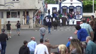 AZOREAN TRADITION  Tourada no Pico da Urze 29052017 [upl. by Amalburga]