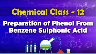 Preparation of Phenol From Benzene Sulphonic Acid  Alcohols Phenols and Ethers [upl. by Agostino]