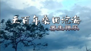 禅乐音药 ll《五百年桑田沧海》五音疗愈，国乐经典，养心靜心 [upl. by Medarda]