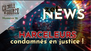 Des harceleurs condamnés ZetNEWS [upl. by Lopez]