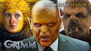 EVERY Wesen From Season 1  Grimm [upl. by Maudie525]