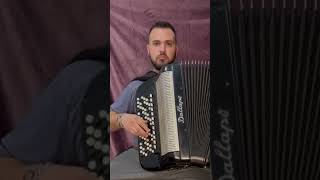 Kafana je moja sudbinaToma Zdravković Cover music accordion cover fyp viralvideo kafana [upl. by Botti]