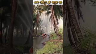 Thailand💯Amazing Way✅ To coconut farming coconutfarming shorts viralshorts [upl. by Aurie]