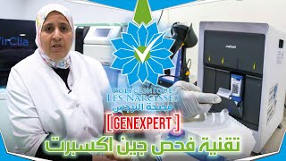 ماهو ختبار جين إكسبيرت genexpert مع الدكتورة  زاهيدي جيهان [upl. by Atikehs]