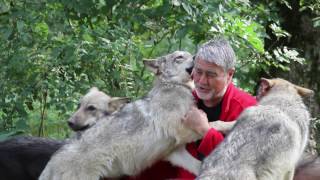 Lukas zu Besuch beim Wolf Science Center [upl. by Vallery]