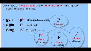 Morphology Lesson 5 Part 1 Morphemes and Allomorphs [upl. by Capps677]