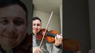 Beethoven Romance GDur Violin [upl. by Rehtaeh]