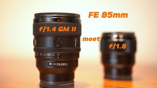 FE 85mm f14 meet 18 with Ulanzi BC08 Sling Bag [upl. by Assenaj631]