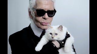 Карл Лагерфельд кошка Шупетт наследница 2019★Karl Lagerfeld cat Chupett heiress 2019 [upl. by Bev]