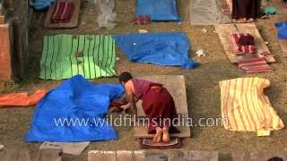 Monks praying at the Mahabodhi temple in Bodhgaya Bihar [upl. by Dorreg309]