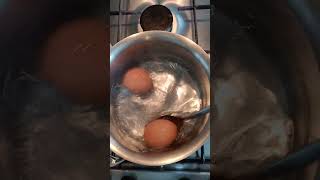 Free range eggs amazing cooking ytshorts ytshort viralvideo [upl. by Ennairb]