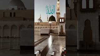 Islamic Video status 🕋🕌👍❣️ytshorts shortvideo islamicvideo islamic islamicmusic islamicstatus [upl. by Garnette]