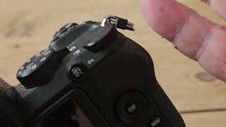 Nikon Z50 II z6iii no bird tracking [upl. by Goldy]