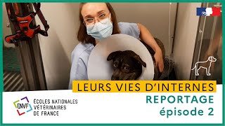 Leurs vies dinternes  Reportage  Épisode 2 [upl. by Yer]