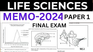 2024 MEMO FINAL EXAM LIFE SCIENCES SCIENCES P1PAPER 1 GRADE 12 MJ THUNDEREDUC BY MSAIDI [upl. by Raffaello]