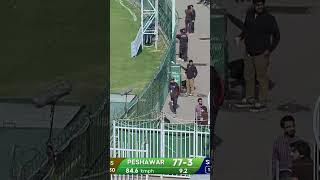 Disdainfully dispatched 🔥Powell pummels it over the fence 💪HBLPSL9  KhulKeKhel  PZvKK [upl. by Scheers]