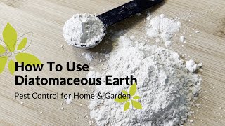 How To Use Diatomaceous Earth  Home amp Garden Pest Control [upl. by Lrigybab]