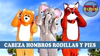 Cabeza Hombros Rodillas y Pies  Canciones infantiles [upl. by Yendys317]