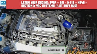 Learn your VW Engine Skoda Octavia RS AUQ EVAP  SAI  N112  N249  SUCTION amp VAC systems [upl. by Raimundo]