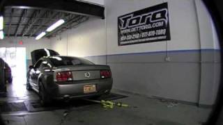 2005 Mustang GT  Dyno Tuning by TORQ [upl. by Satsoc]