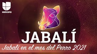 Jabalí en el mes del Perro 2021  Univision Horóscopos [upl. by Atinob842]