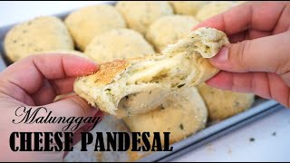 Nutritious Malunggay Cheese Pandesal  Moringa Buns [upl. by Carilyn842]