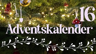 Adventskalender der Garten YouTuber 2023  Türchen 16 der Gartenpapa [upl. by Pinkham301]