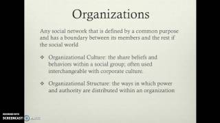 Social Groups Organizations Bureaucracies [upl. by Arhez]