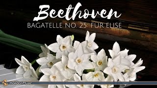 Beethoven  Für Elise  Classical Piano Music [upl. by Forest]