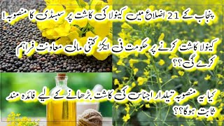 OilSeed Crops Subsidy  How much Subsidy at Canola Model Farm  Kisan ki Baat  Canola Production [upl. by Aihtebat]