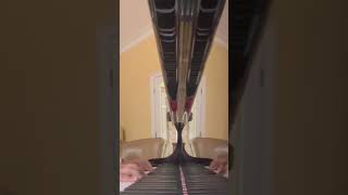 piano adventures3B Barrelhouse blues please like and sub [upl. by Atinauj642]