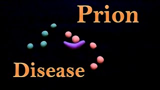 Prion  prion disease [upl. by Sarad396]