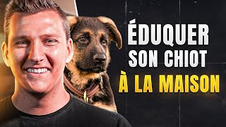 Comment eduquer un chiot à la maison  EDUC DOG [upl. by Gotcher344]