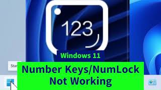 Number Keys Not Working Even After Turning on NumLock  How to FIX [upl. by Anawed35]