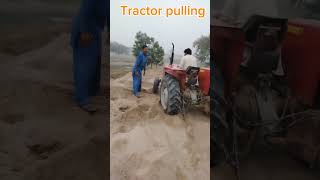 Tractor pulling shortviralvideotractorpulling [upl. by Demott441]