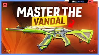 MASTER the VANDAL in 10 Minutes  Valorant Guide [upl. by Bekelja580]