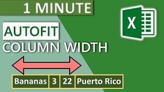 Excel Column Autofit Width 2020  1 MINUTE [upl. by Gilchrist]