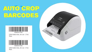 Auto Print FBA Barcodes on Brother Printers with Auto Crop  and not only Amazon Labels [upl. by Rafa204]