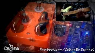 Caline  Orange Burst  Demo Review en Español [upl. by Drucie]