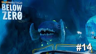 Curing The Frozen Leviathan  Subnautica Below Zero  Ep14 [upl. by Calise732]